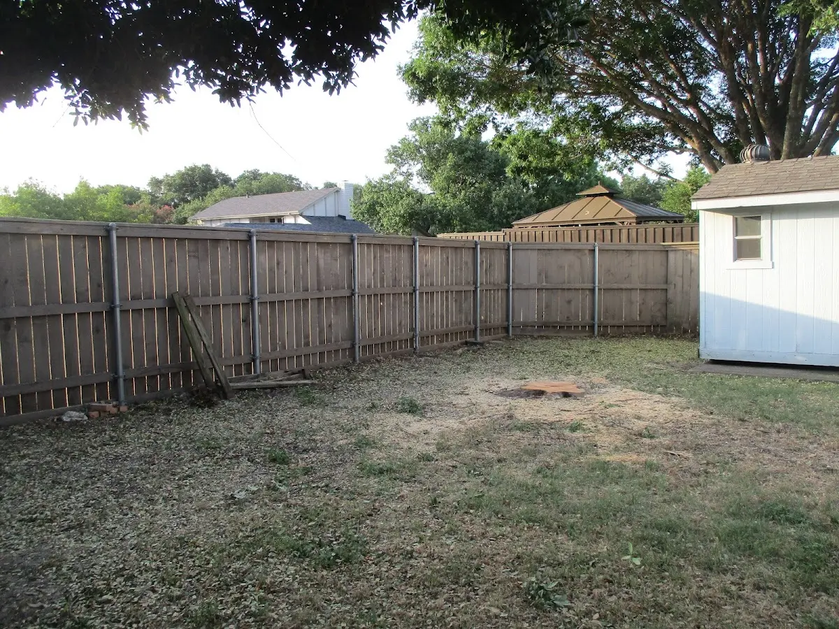 Cleared yard after professional tree removal in Elizabethville